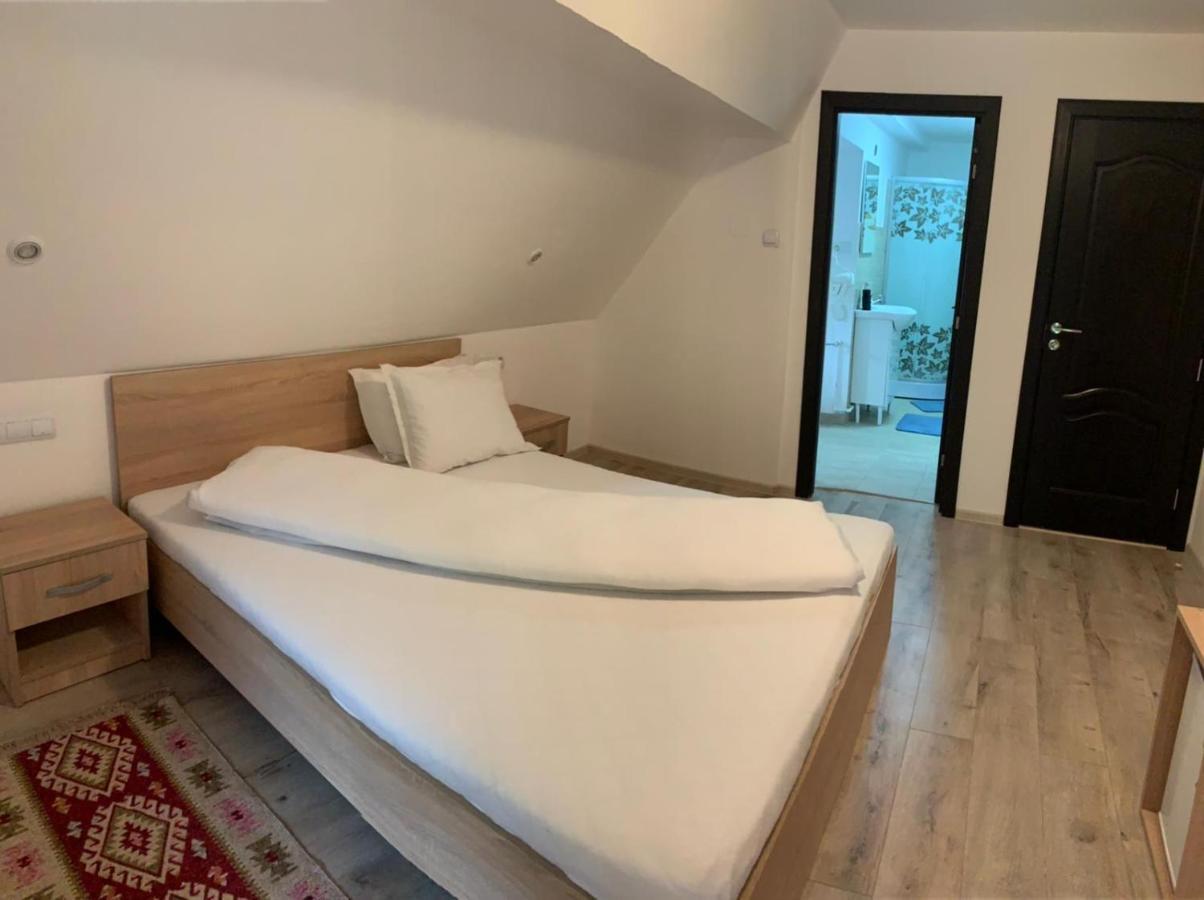M Dey Otel Vişeu de Sus Dış mekan fotoğraf