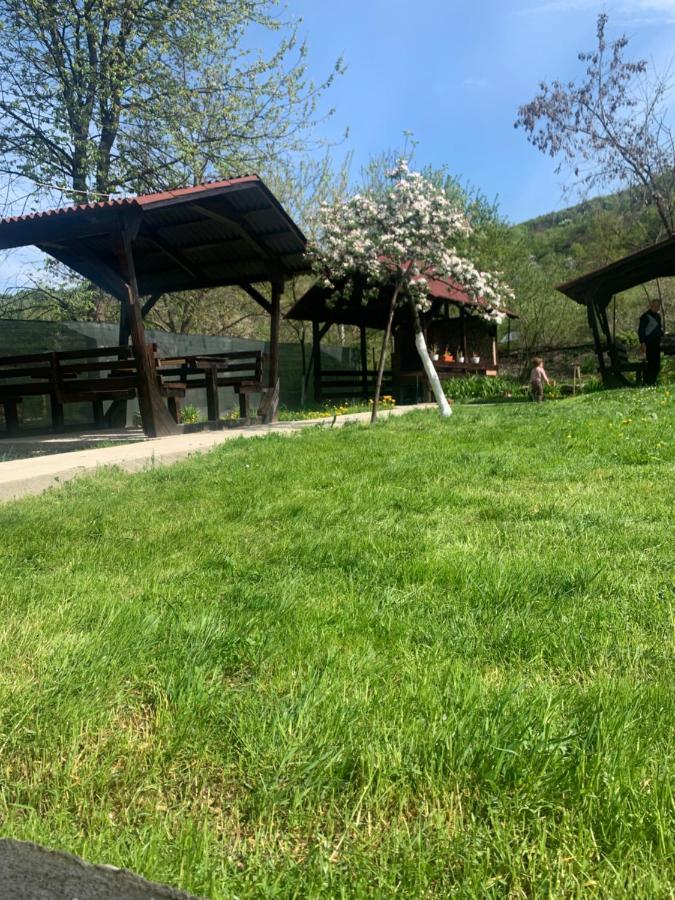 M Dey Otel Vişeu de Sus Dış mekan fotoğraf