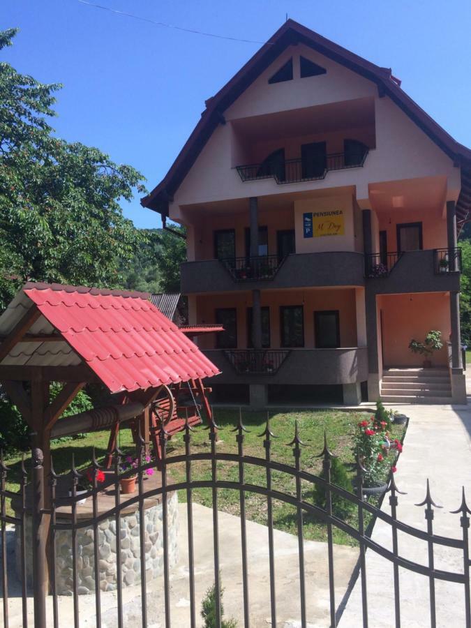 M Dey Otel Vişeu de Sus Dış mekan fotoğraf